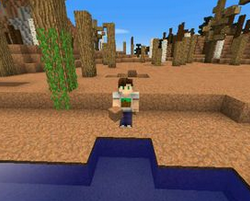 我的世界手机版0.17.0末地mod