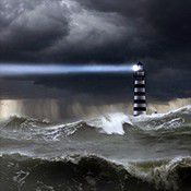 混乱水域:解救亚力克斯中文版