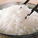 脱出游戏 米汉化安卓版