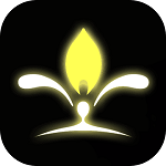 我的人生解答书手机版