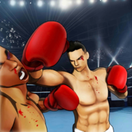 FX3(拳王争霸安卓版)