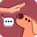 宠物训练社区app