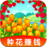 玫瑰小镇红包版