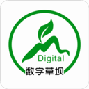 数字草坝app