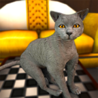 猫模拟器2021单机中文版