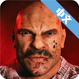 掩体中文汉化版