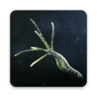 孢子模拟器手机版