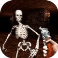 骷髅绝地重生手机版