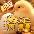 掼蛋全新版