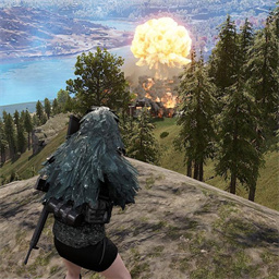 枪械精英3D中文版