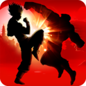 影子战斗1.3.6免费版