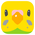 鹦鹉谜题(Parrots Puzzle)