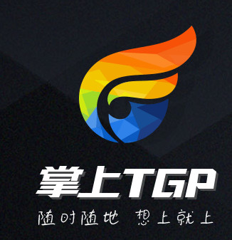 腾讯掌上TGP安卓版