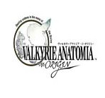 女神解析:起源汉化版