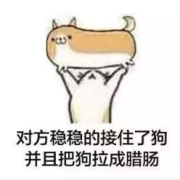 对方稳稳地接住了狗表情包