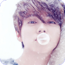 鹿晗明星主题桌面