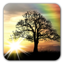 黄昏的天空动态壁纸安卓版