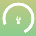 小球逃脱安卓版