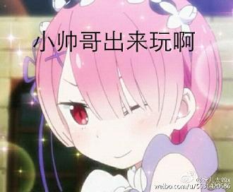 re从零开始的异世界生活表情包完整版