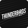 Thunderbirds(雷鸟酷跑无限金币修改版)