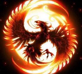 精灵宝可梦go完美度计算器工具