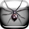 蜘蛛恶作剧安卓版
