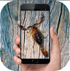 蝎子屏幕恶搞(电击屏幕)