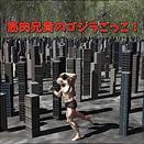 肌肉兄贵之哥斯拉安卓版