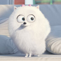 爱宠大机密安卓版