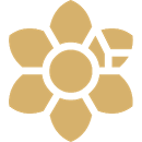 驯服的梦想RPG汉化版