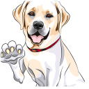 太子妃的小宠物