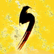 无罪揭露安卓版