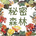 秘密森林手机版