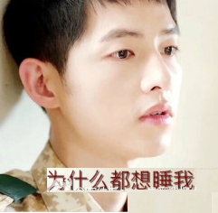 太阳的后裔表情包