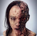 Walking Dead(行尸走肉安卓版)