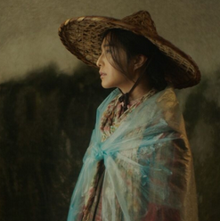 我不是潘金莲观看软件