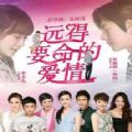 远得要命的爱情app