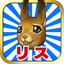 兄贵松鼠汉化版