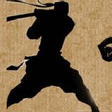 暗影格斗2特别版全解锁版