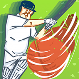 超级板球对战安卓版