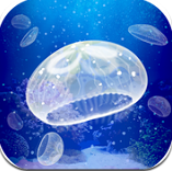 治愈的养成水母喂养版