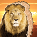 野生动物拼图 儿童亲子互动手游