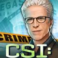 CSI: Hidden Crimes(CSI:隐藏的罪恶)