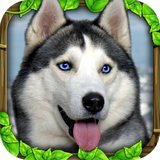 Stray Dog Sim(流浪狗模拟器)