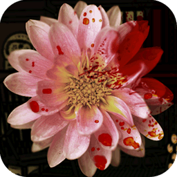 逃脱游戏:失踪的委托人