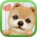 掌上狗狗安卓版