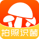 菌窝子app3.0.37