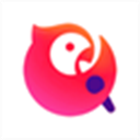 全民k歌主播版电脑版