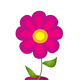 经期跟踪器精简版appv12.6