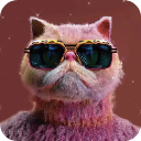 画质云画质助手1.0